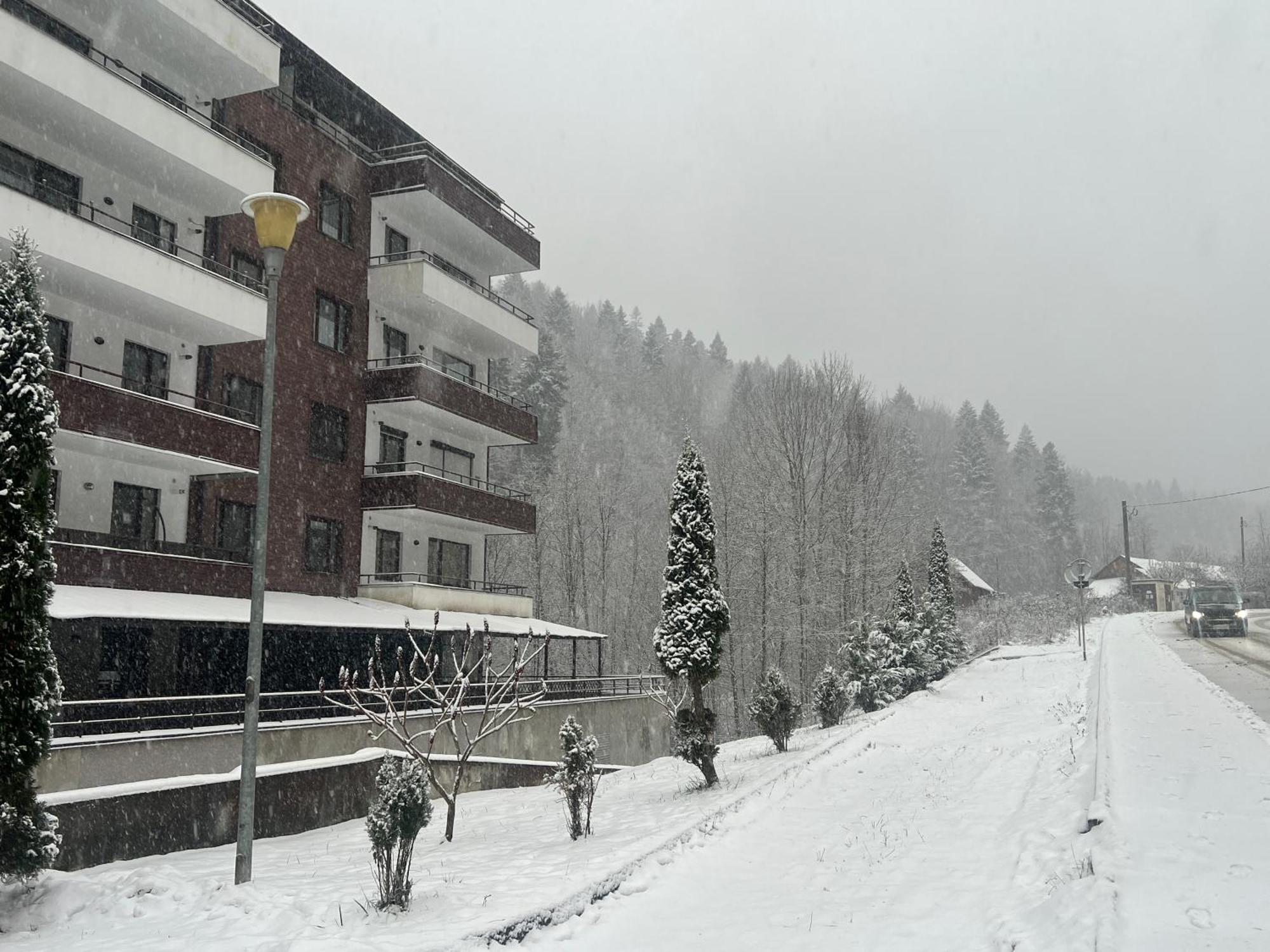 Serenity Apartament *