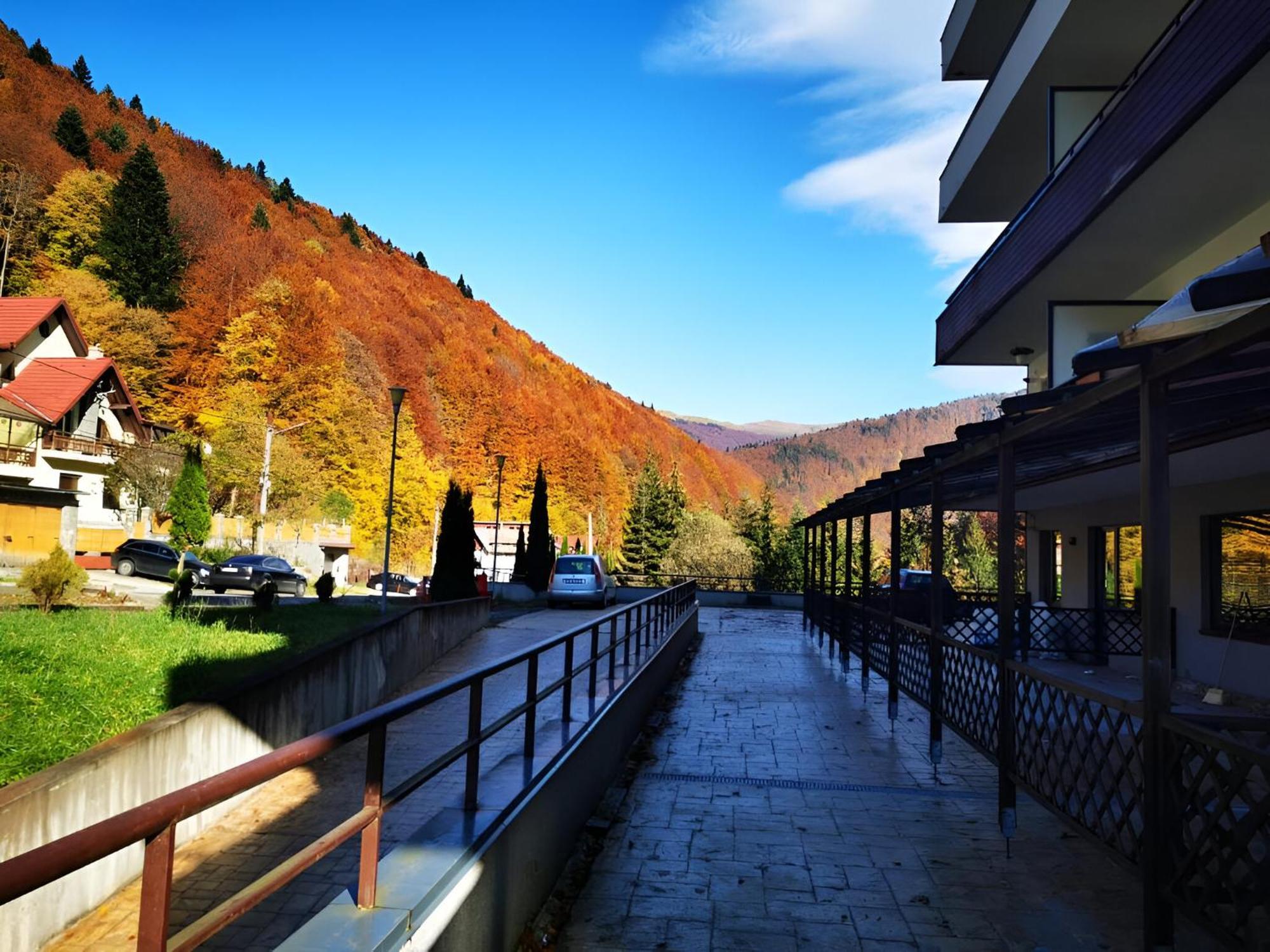 Serenity Apartament